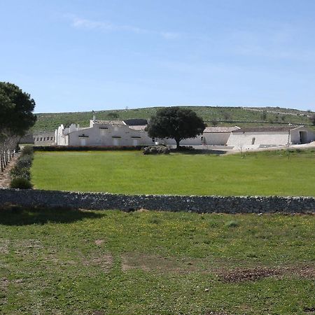 Masseria Torre Di Nebbia Castel Del Monte  Zewnętrze zdjęcie