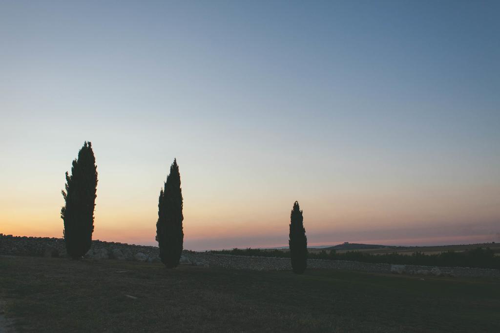 Masseria Torre Di Nebbia Castel Del Monte  Zewnętrze zdjęcie