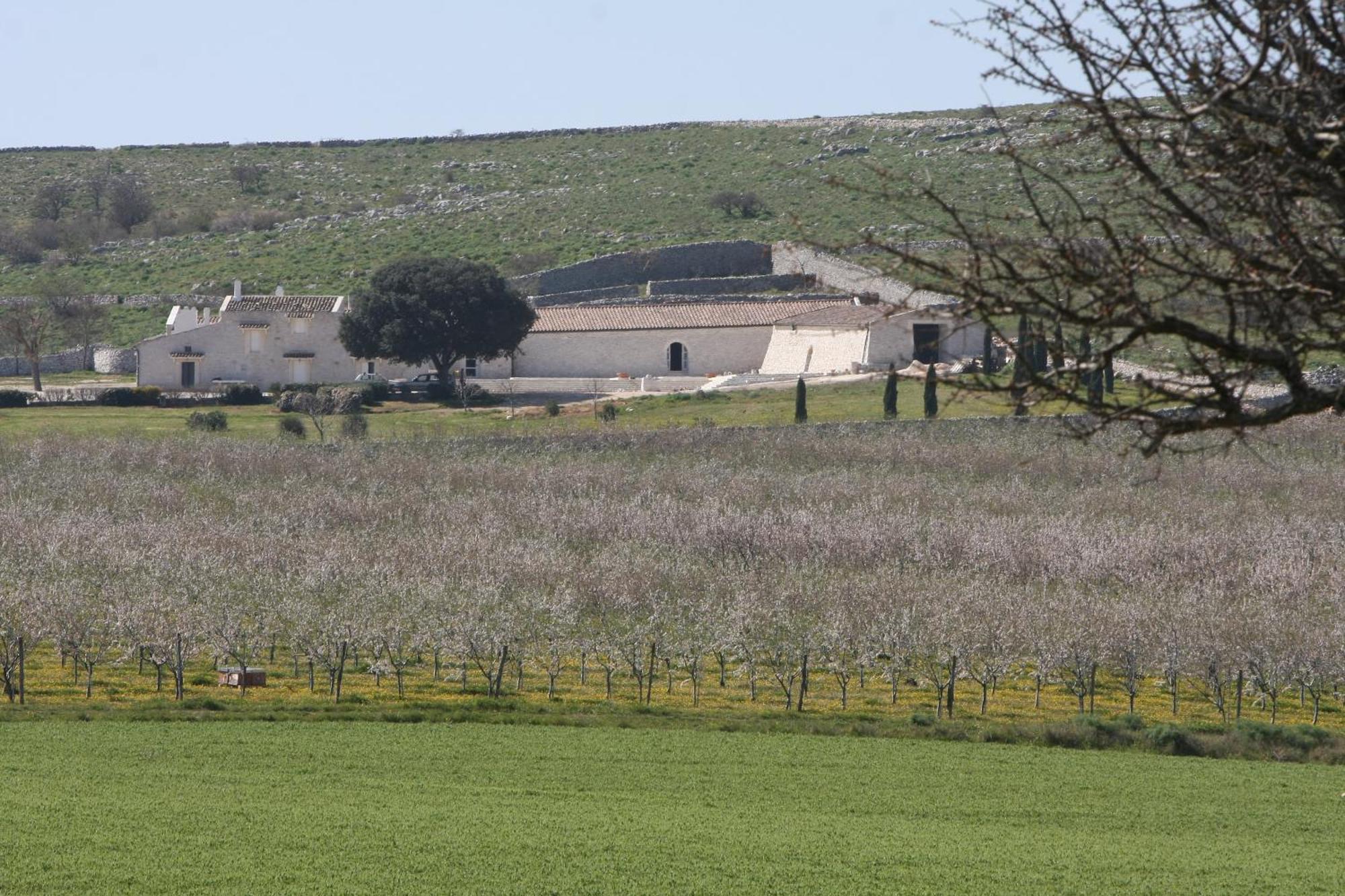 Masseria Torre Di Nebbia Castel Del Monte  Zewnętrze zdjęcie