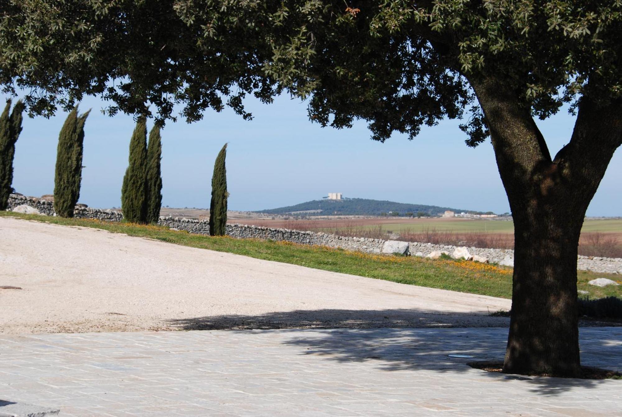 Masseria Torre Di Nebbia Castel Del Monte  Zewnętrze zdjęcie
